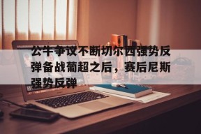 爱游戏体育官网-公牛争议不断切尔西强势反弹备战葡超之后，赛后尼斯强势反弹的简单介绍